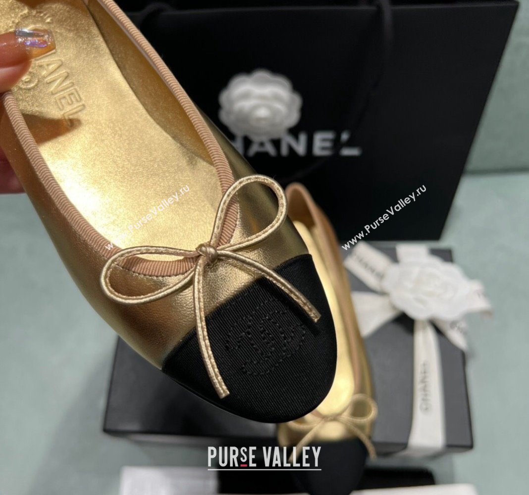 Chanel Classic Metallic Leather Ballet Flat Gold 2024 0325 (SS-240325045)