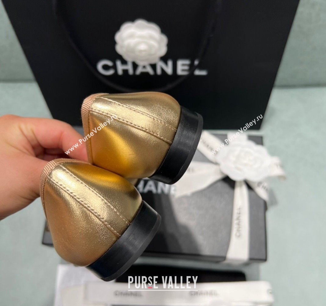 Chanel Classic Metallic Leather Ballet Flat Gold 2024 0325 (SS-240325045)