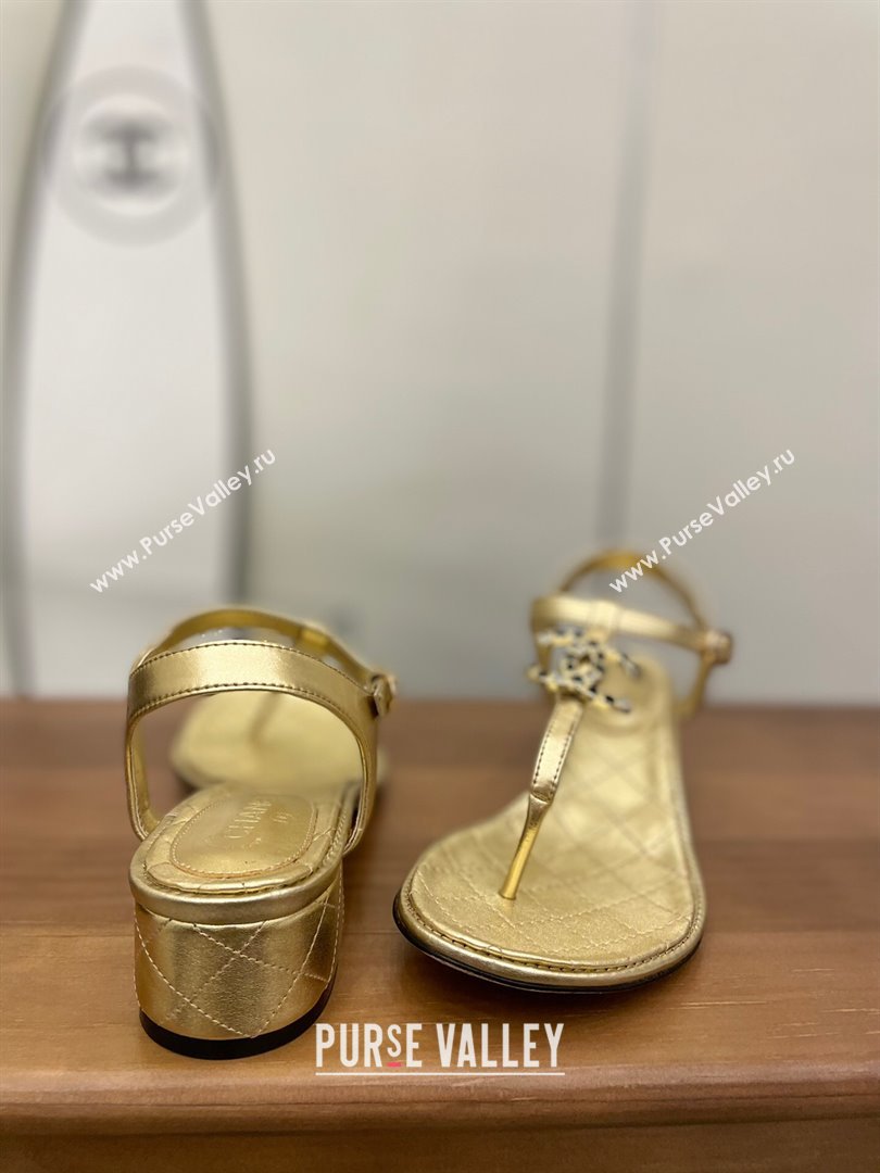 Chanel Lambskin Heel Thong Sandals 4cm with Stone CC Gold 2024 0322 (MD-240322115)