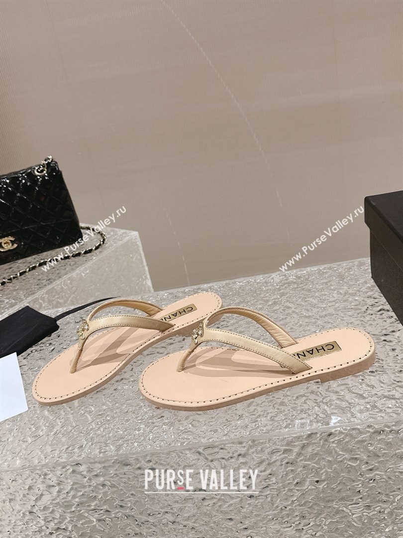 Chanel Calfskin Flat Slide Thong Sandals with Metal-Tone CC Beige 2024 0322 (MD-240322120)