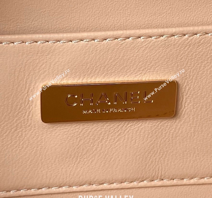 Chanel Lambskin Camera Bag AS4817 Apricot 2024 (yezi-240411036)