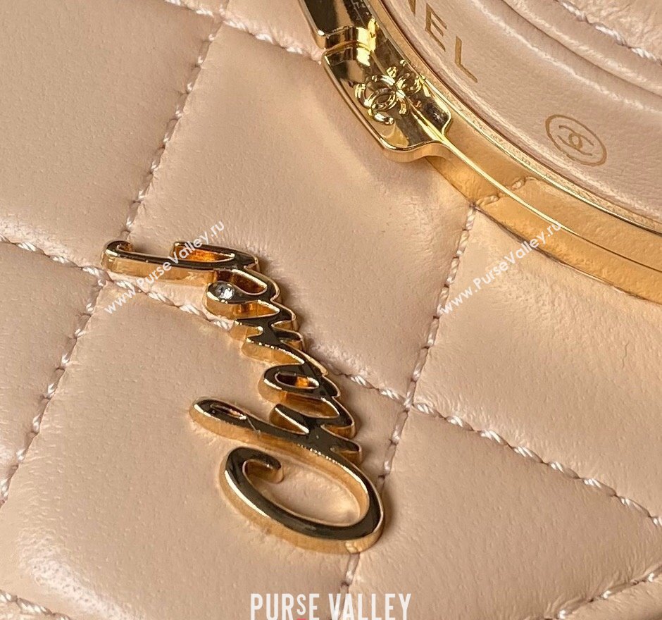 Chanel Lambskin Camera Bag AS4817 Apricot 2024 (yezi-240411036)