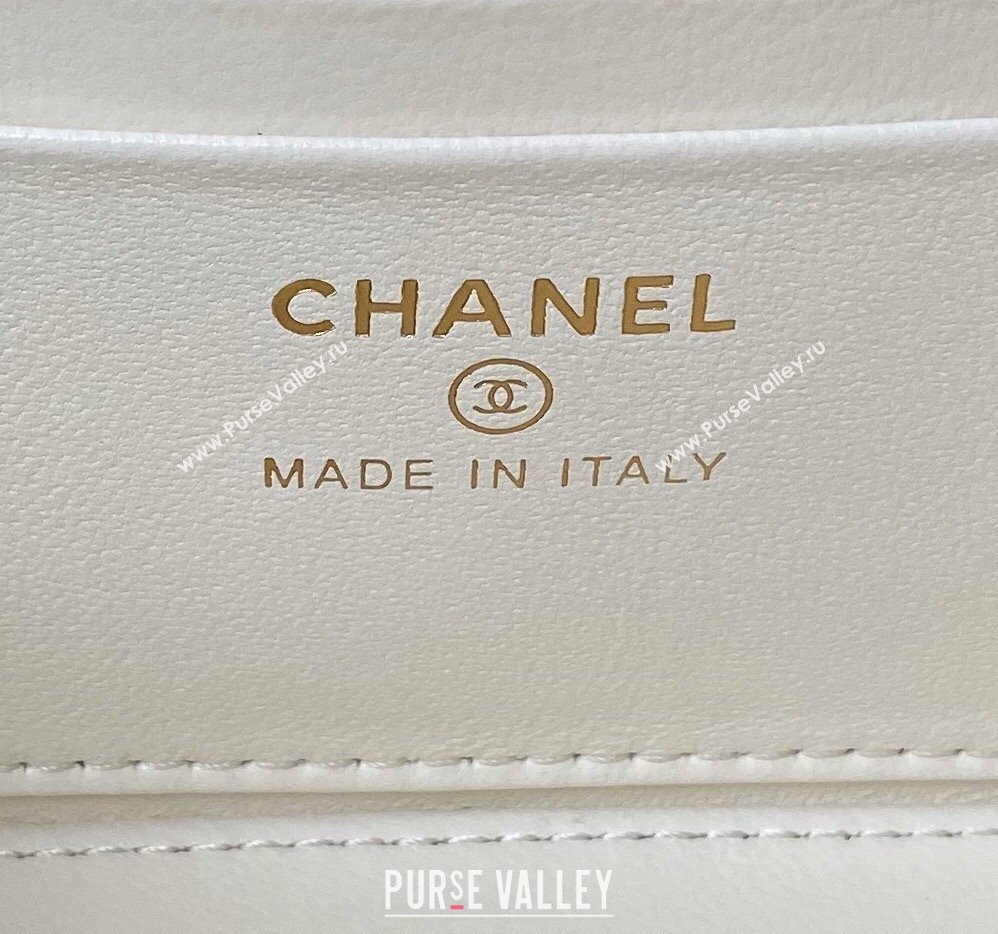 Chanel Shiny Crumpled Lambskin Clutch with Chain and Pearls Top Handle AP3804 White 2024 (yezi-240411002)