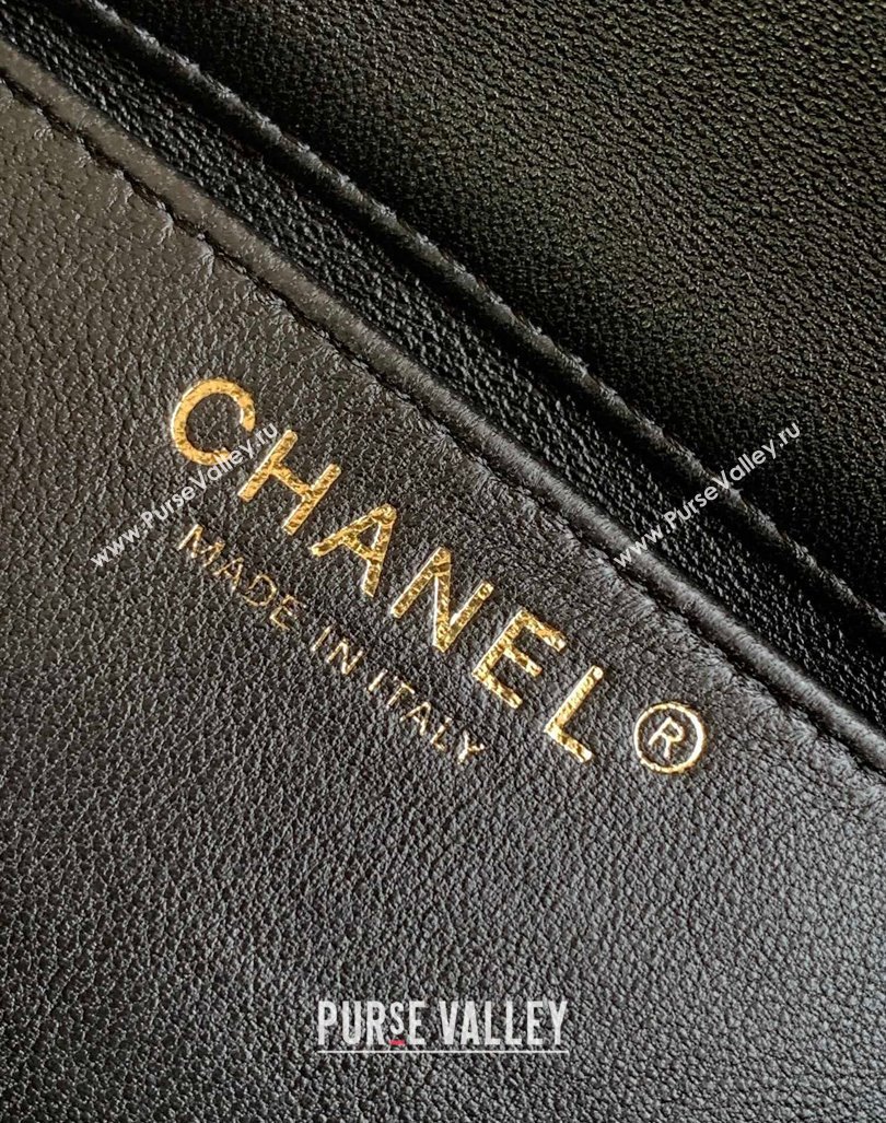 Chanel Tweed Mini Flap Bag with Chain and Pearls AS4385 Black/White 2024 (yezi-240411043)