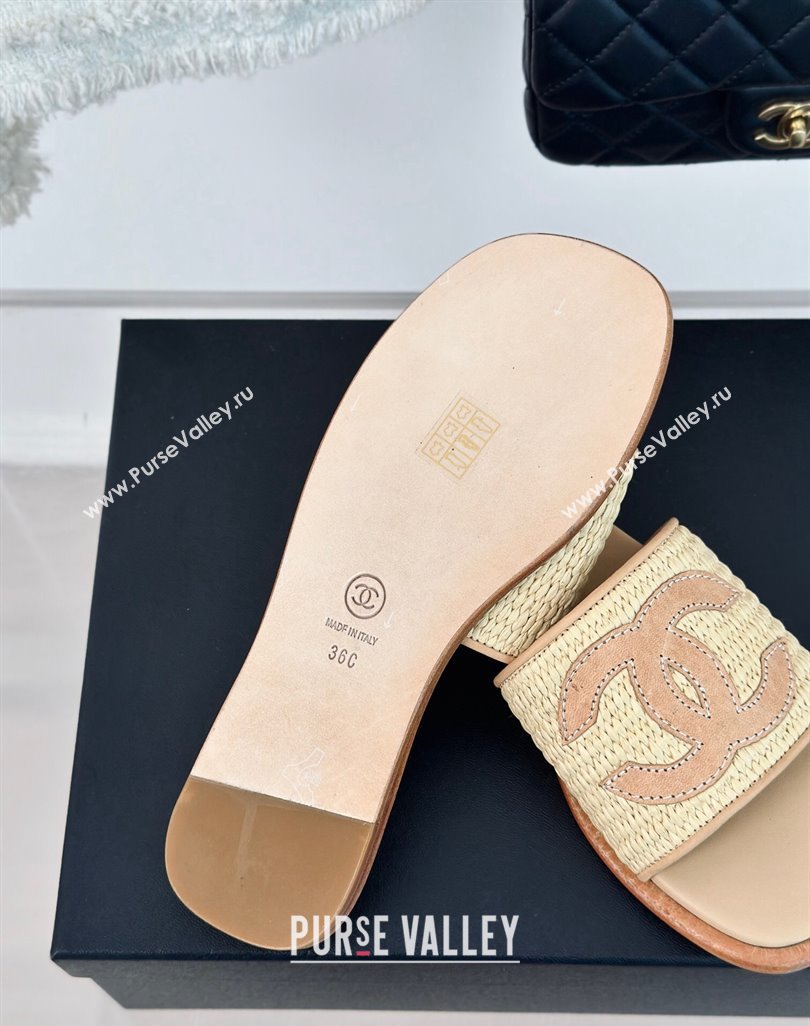 Chanel Raffia Straw Flat Slide Sandals Beige 2024 0424 (MD-240424149)