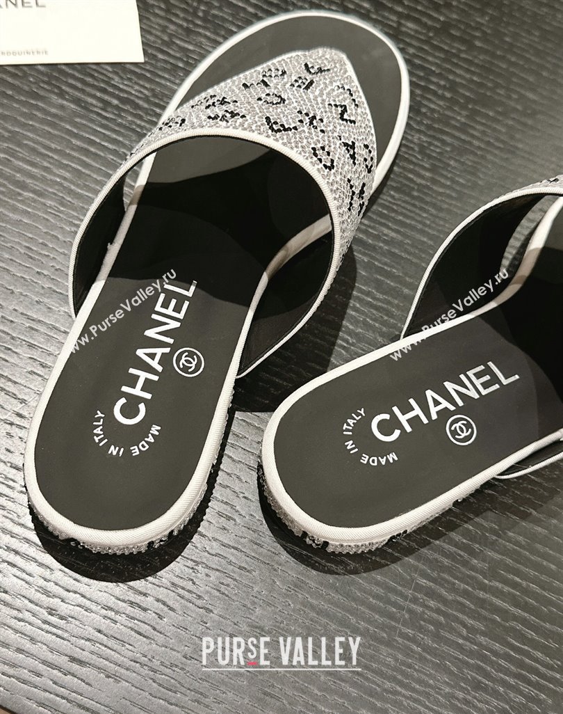 Chanel Crystals Flat Thong Slide Sandals with Letters Silver 2024 0424 (MD-240424167)