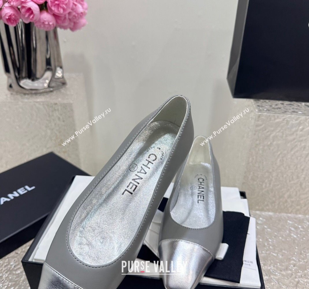 Chanel Lambskin Metallic Calfskin Ballet Flat Grey/Silver 2024 0425 (KL-240425036)