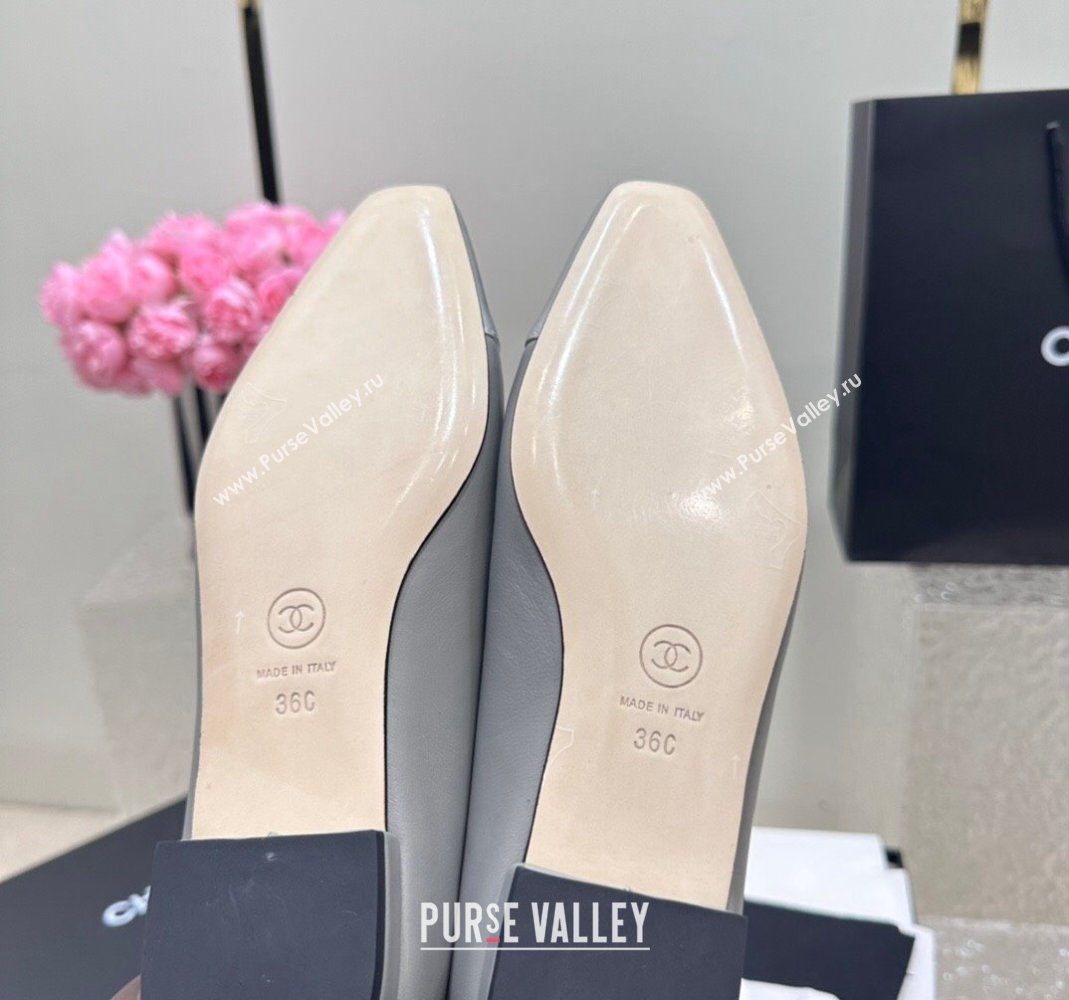 Chanel Lambskin Metallic Calfskin Ballet Flat Grey/Silver 2024 0425 (KL-240425036)