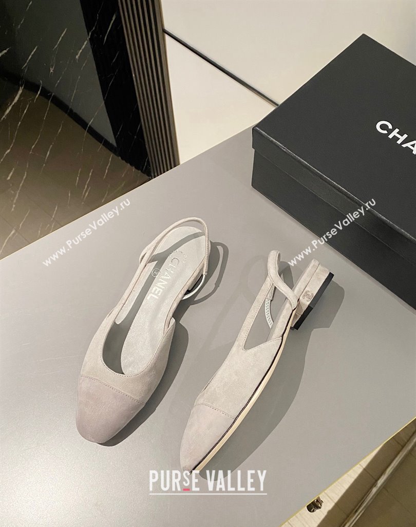 Chanel Suede Slingbacks Ballet Flat Light Grey 2024 0423 (MD-240423111)