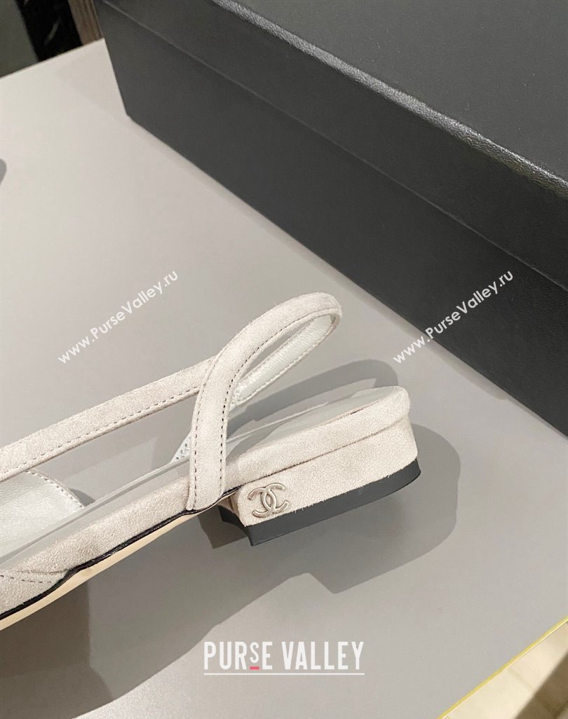 Chanel Suede Slingbacks Ballet Flat Light Grey 2024 0423 (MD-240423111)