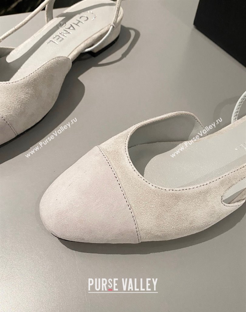 Chanel Suede Slingbacks Ballet Flat Light Grey 2024 0423 (MD-240423111)