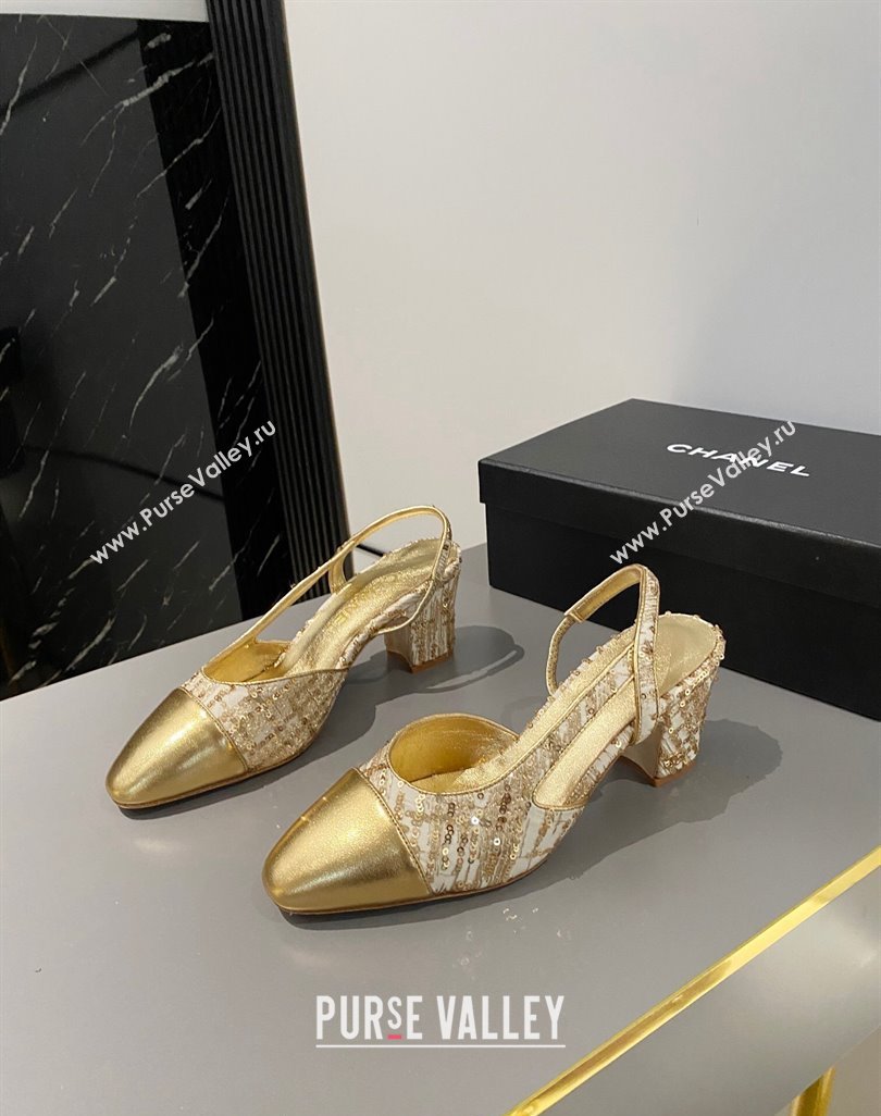 Chanel Tweed Calfskin Slingbacks Pumps 6.5cm G31318 Gold 2024 0423 (MD-240423116)