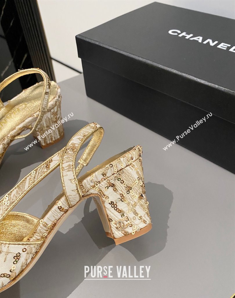 Chanel Tweed Calfskin Slingbacks Pumps 6.5cm G31318 Gold 2024 0423 (MD-240423116)