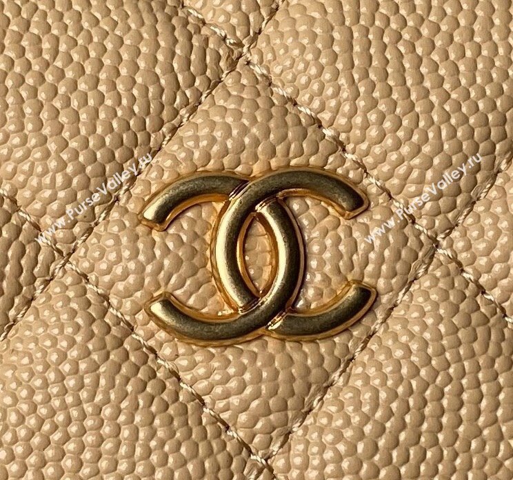 Chanel Grained Shiny Calfskin Pouch with Bow Chain Apricot 2024 AP3943 (yezi-240517082)