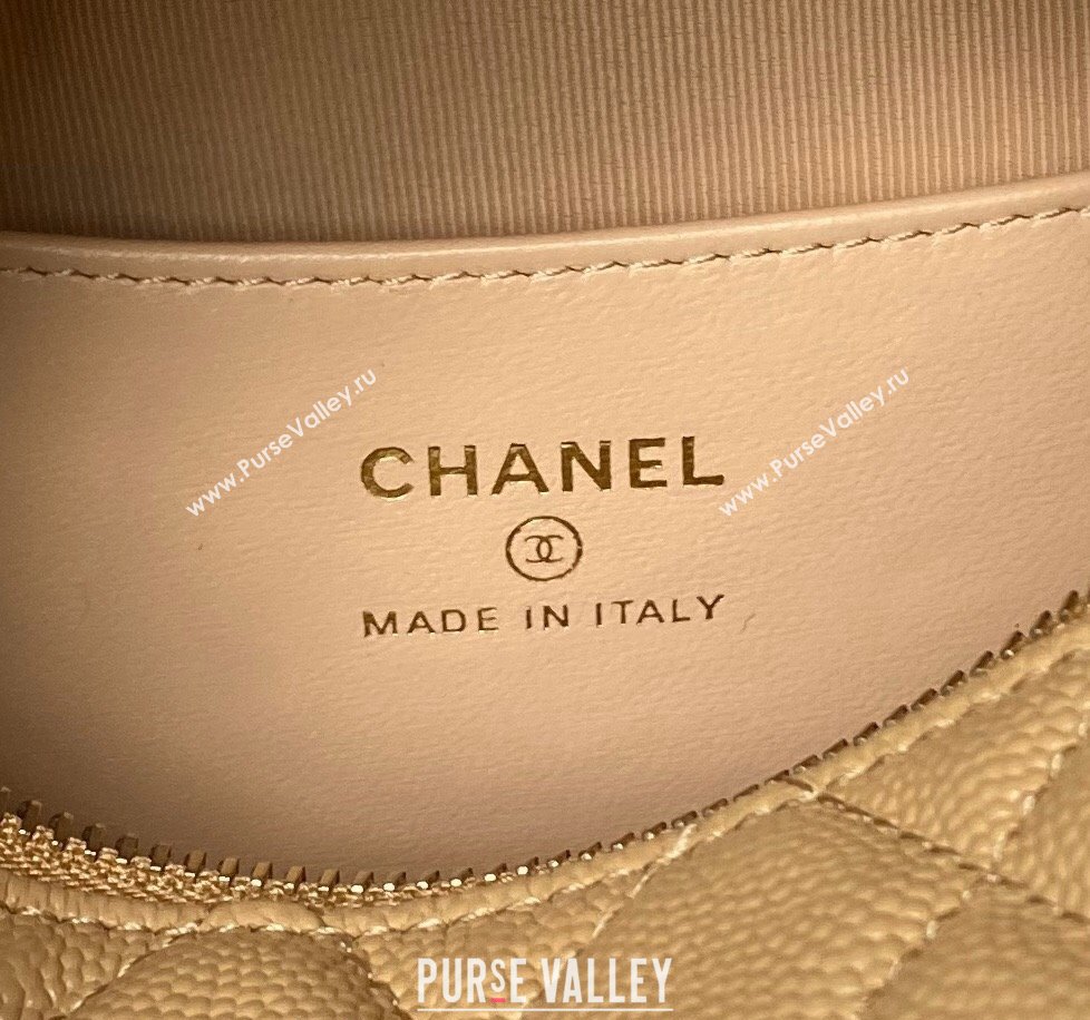 Chanel Grained Shiny Calfskin Pouch with Bow Chain Apricot 2024 AP3943 (yezi-240517082)