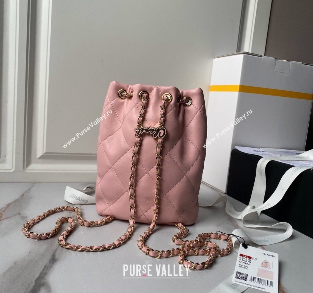 Chanel Shiny Lambskin Backpack bag AS4810 Light Pink 2024 (yezi-240518067)