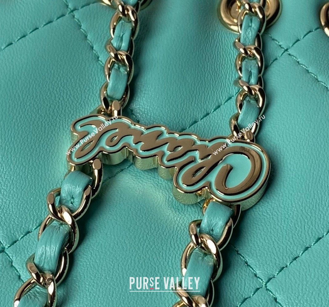 Chanel Shiny Lambskin Backpack bag AS4810 Light Green 2024 (yezi-240518069)