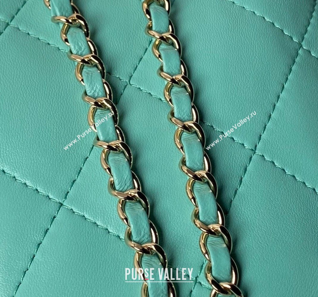 Chanel Shiny Lambskin Backpack bag AS4810 Light Green 2024 (yezi-240518069)