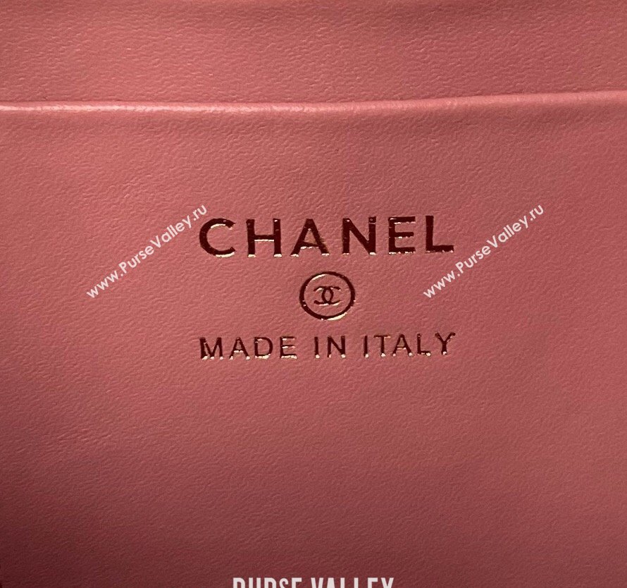 Chanel Tweed Mini Backpack Bag with Chain AP3573 Pink 2024 (yezi-240517009)