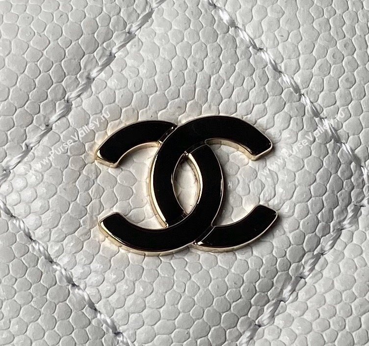 Chanel Grained Calfskin Clutch with Chain AP4000 White 2024 (yezi-240517048)