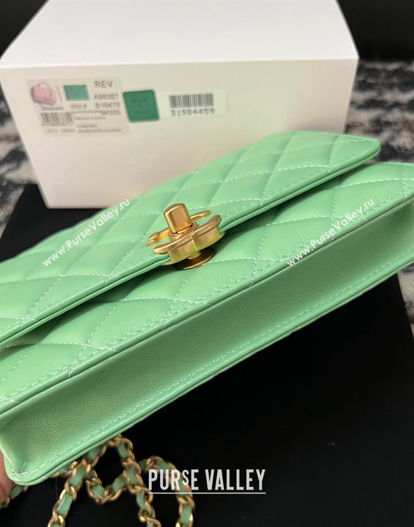 Chanel Shiny Lambskin Wallet On Chain WOC with CC Top Handle Light Geen 2024 AP3944 (yezi-240518006)