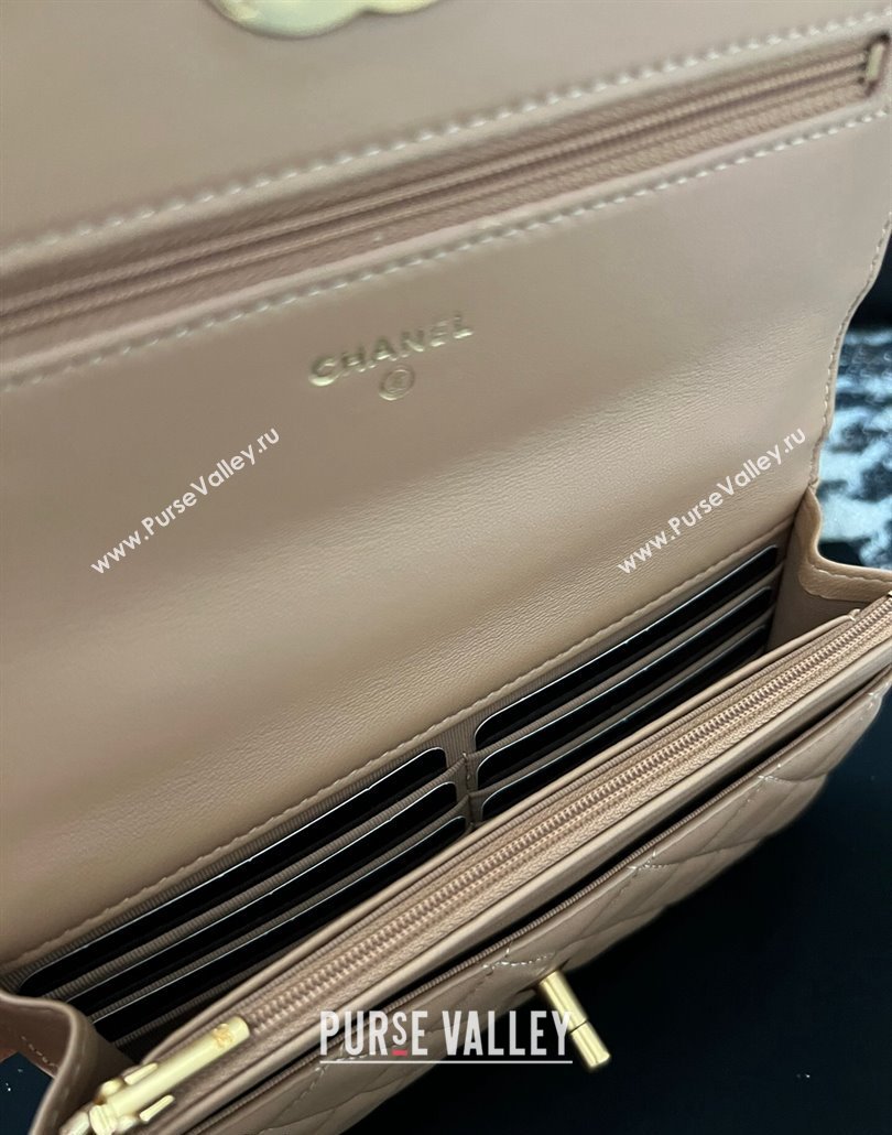 Chanel Shiny Lambskin Wallet On Chain WOC with CC Top Handle Beige 2024 AP3944 (yezi-240518007)