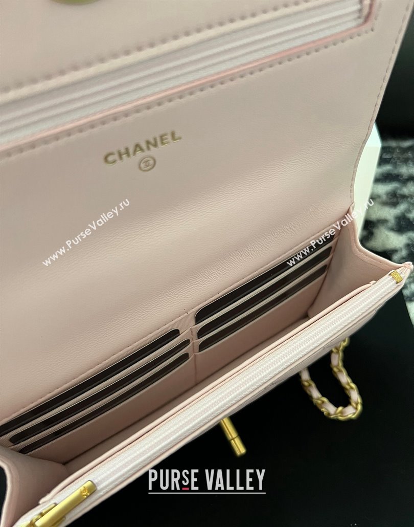 Chanel Shiny Lambskin Wallet On Chain WOC with CC Top Handle Light Pink 2024 AP3944 (yezi-240518008)