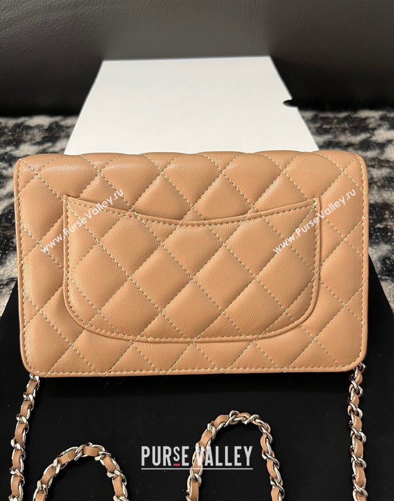 Chanel Lambskin Wallet On Chain WOC with Strass CC Beige 2024 A96071 (yezi-240518010)