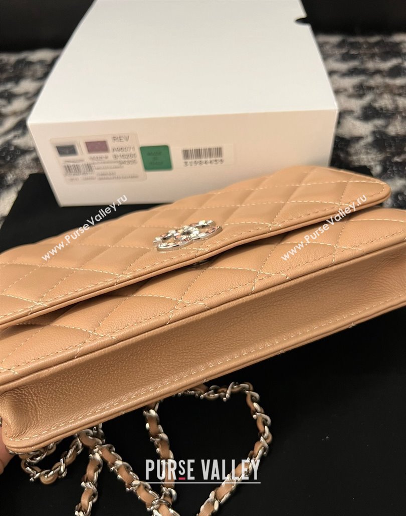 Chanel Lambskin Wallet On Chain WOC with Strass CC Beige 2024 A96071 (yezi-240518010)
