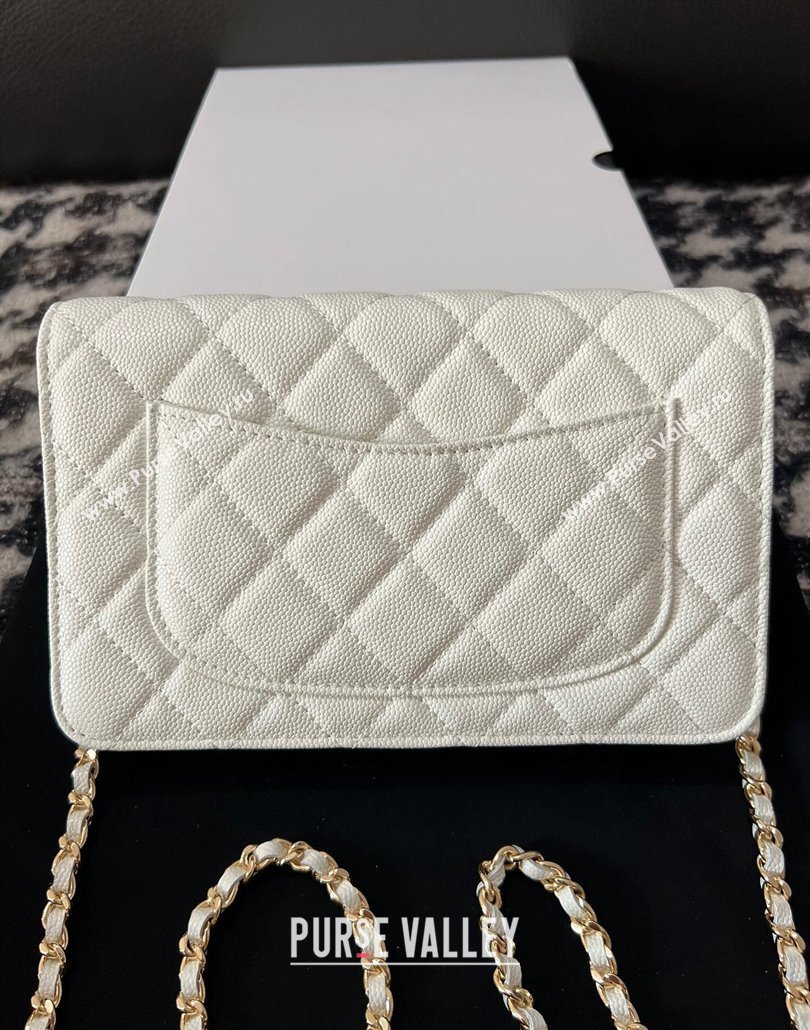 Chanel Grained Shiny Calfskin Wallet On Chain WOC AP3971 White 2024 (yezi-240518028)