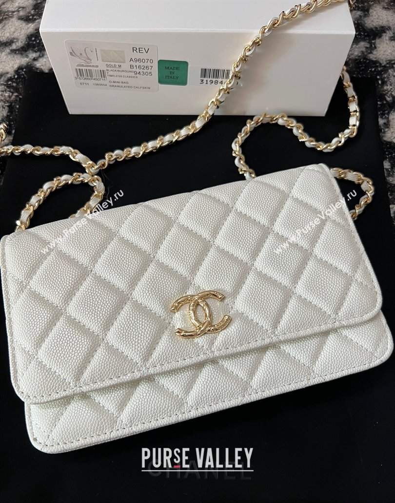 Chanel Grained Shiny Calfskin Wallet On Chain WOC AP3971 White 2024 (yezi-240518028)