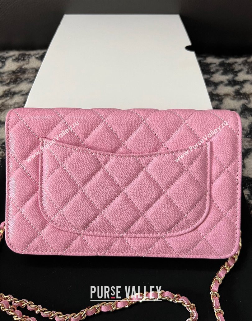 Chanel Grained Shiny Calfskin Wallet On Chain WOC AP3971 Pink 2024 (yezi-240518029)