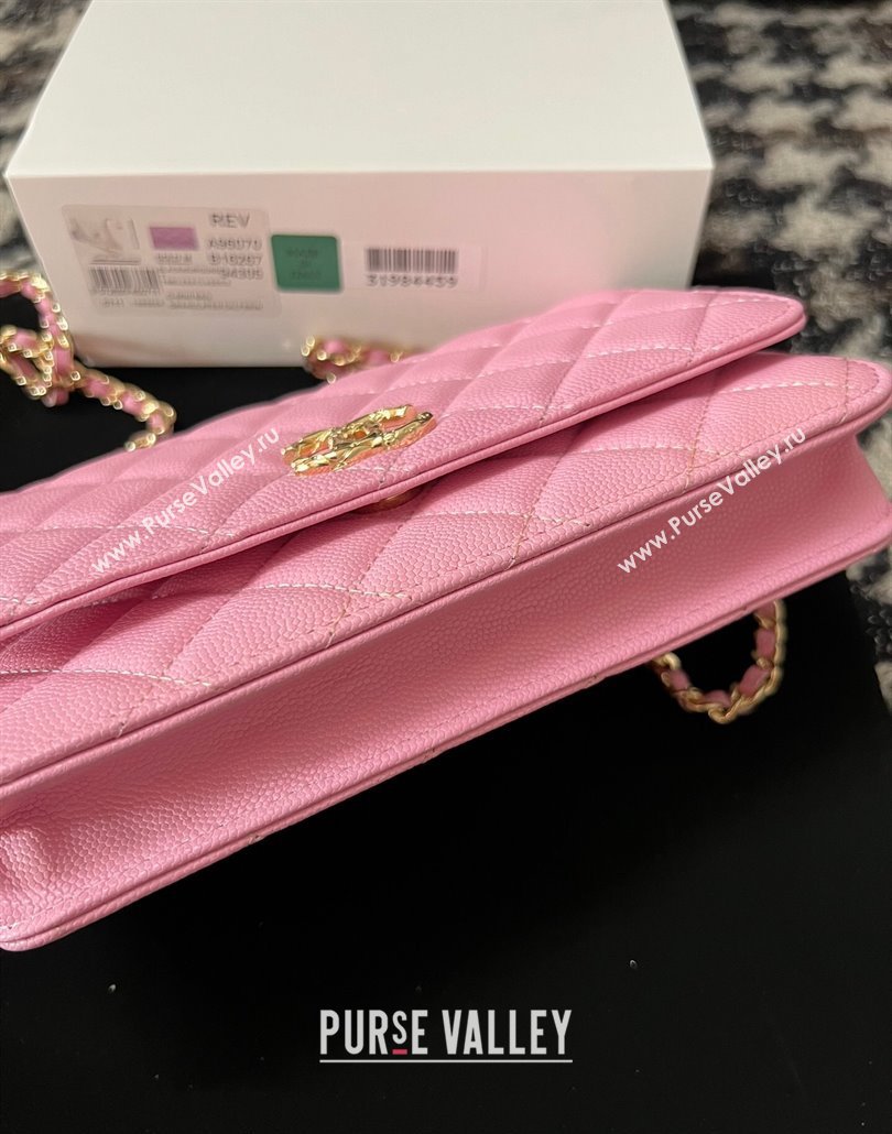 Chanel Grained Shiny Calfskin Wallet On Chain WOC AP3971 Pink 2024 (yezi-240518029)