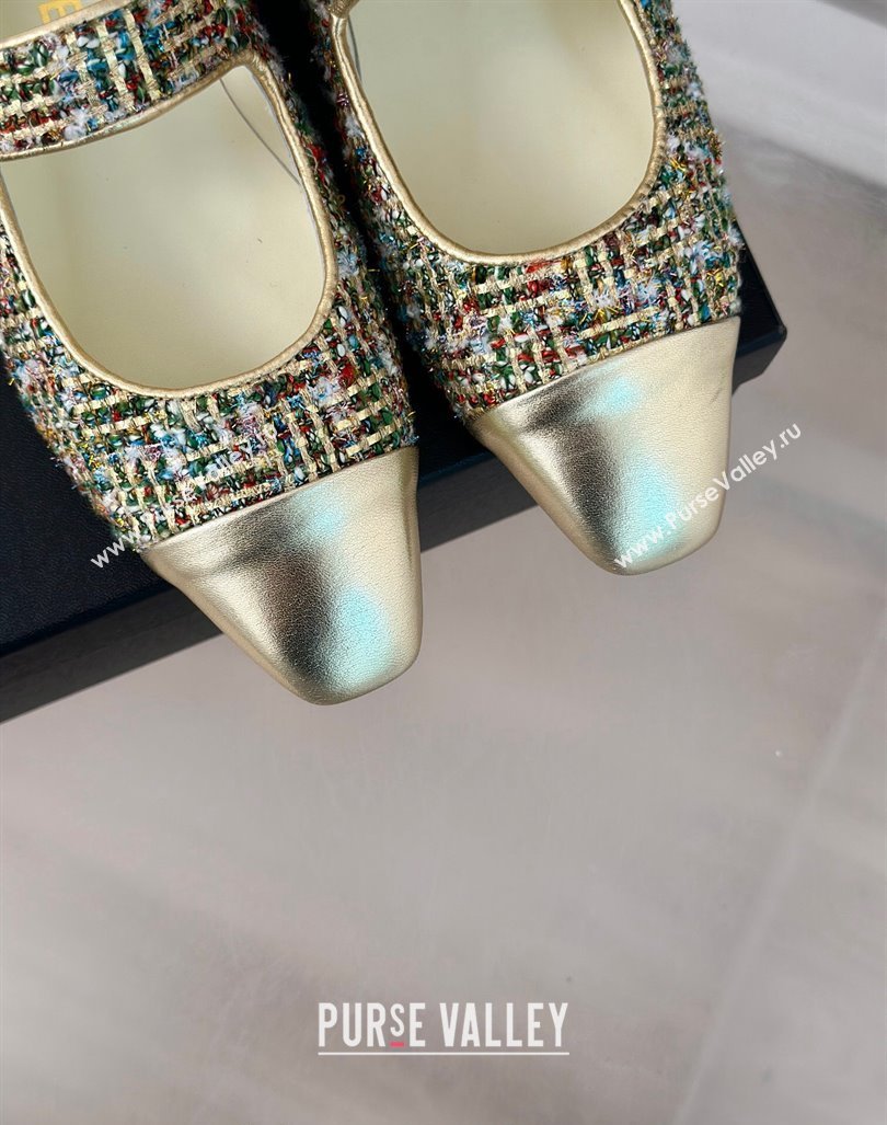 Chanel Tweed Mary Janes Ballet Flat with Pointed Toe Gold/Others 2024 0603 (MD-240603143)