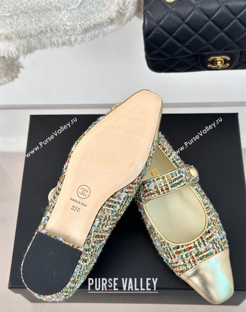 Chanel Tweed Mary Janes Ballet Flat with Pointed Toe Gold/Others 2024 0603 (MD-240603143)