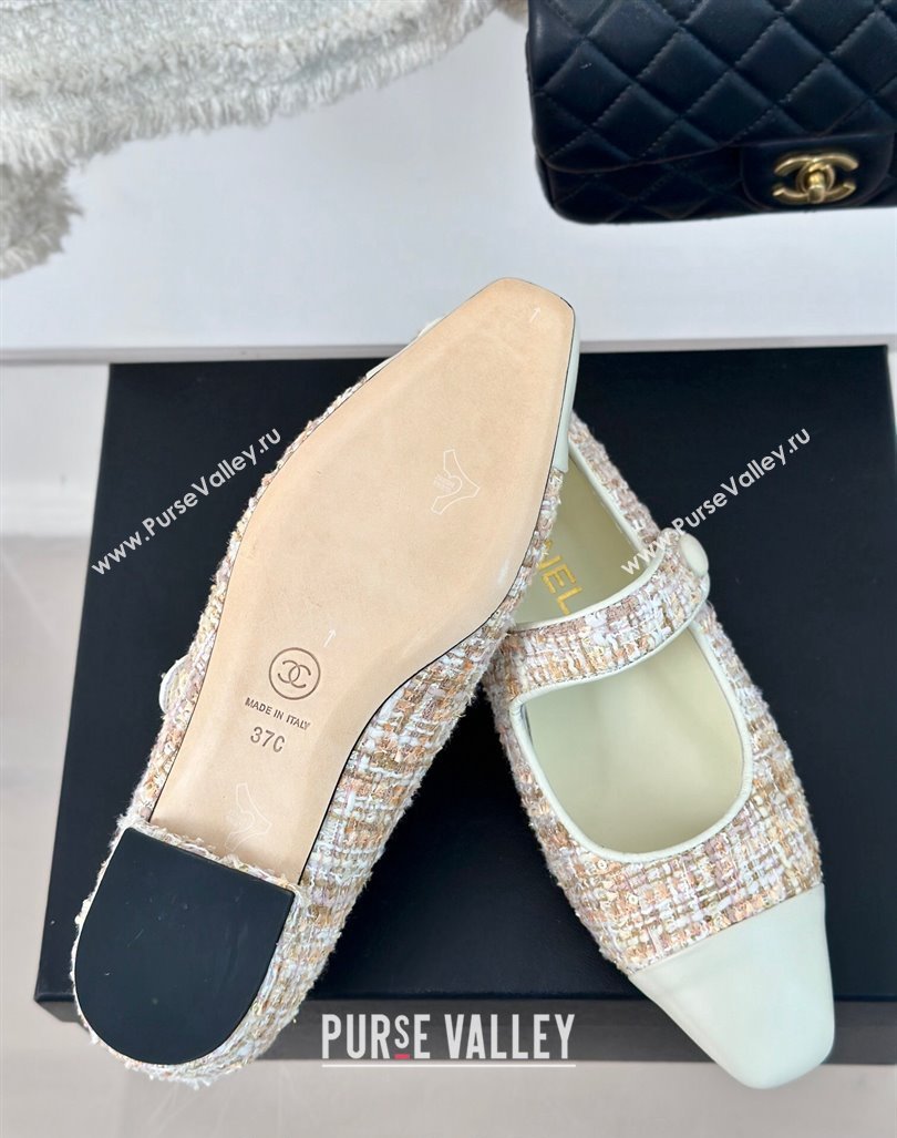 Chanel Tweed Mary Janes Ballet Flat with Pointed Toe Pink/Beige/White 2024 0603 (MD-240603146)