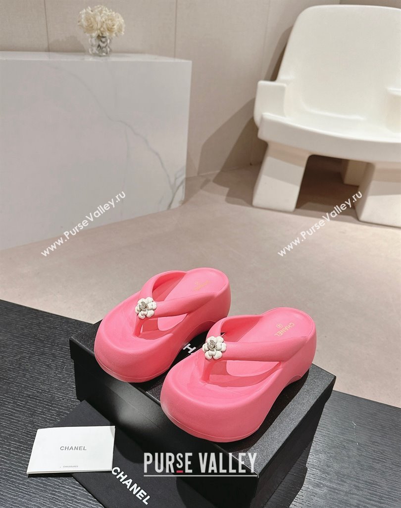 Chanel Rubber Platform Slide Thong Sandals 4cm with Bloom Pink 2024 070301 (MD-240603151)