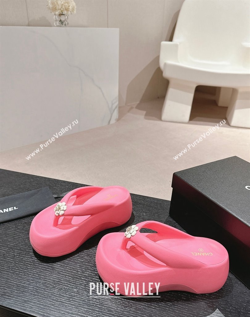 Chanel Rubber Platform Slide Thong Sandals 4cm with Bloom Pink 2024 070301 (MD-240603151)