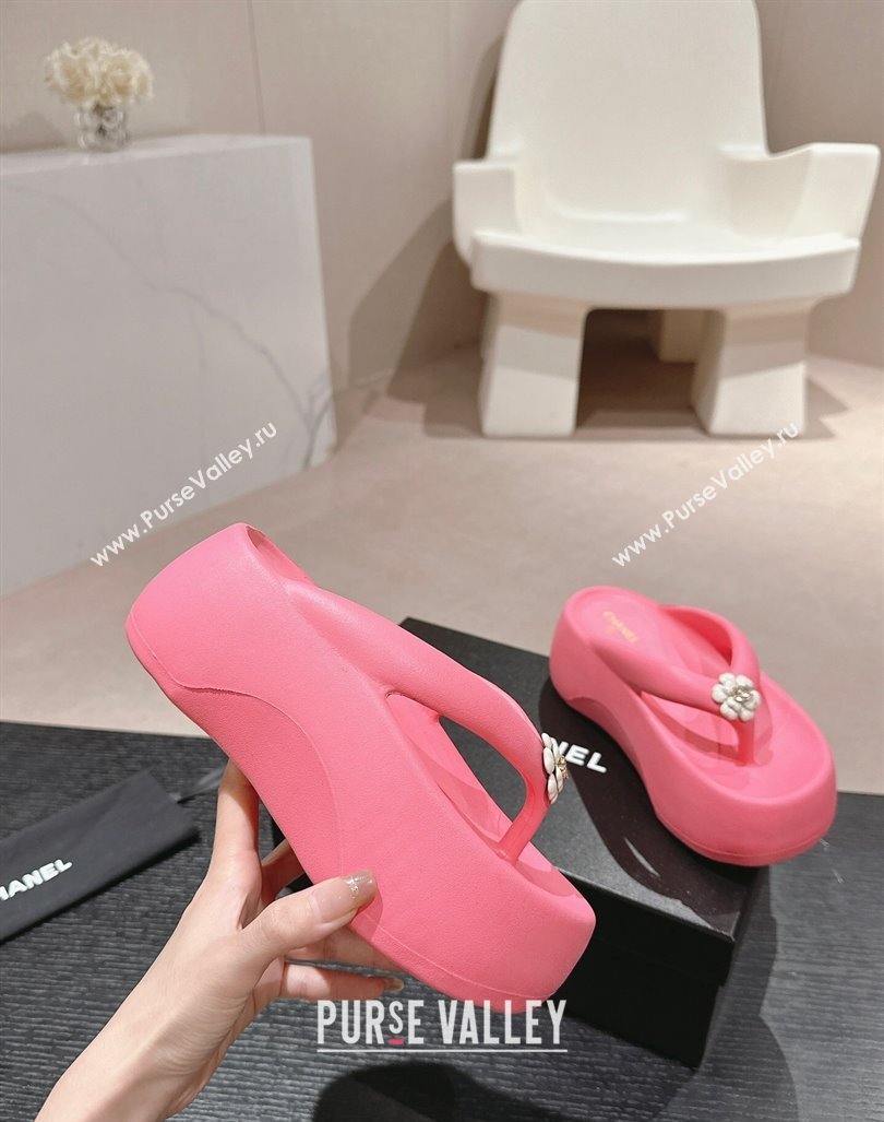 Chanel Rubber Platform Slide Thong Sandals 4cm with Bloom Pink 2024 070301 (MD-240603151)