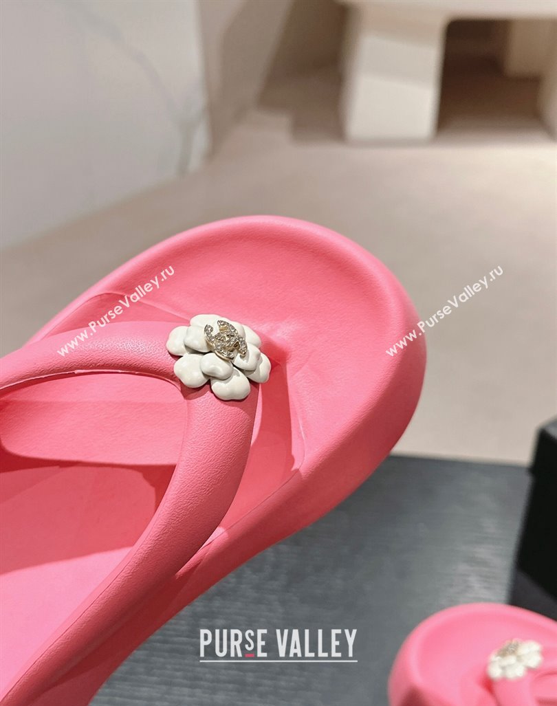 Chanel Rubber Platform Slide Thong Sandals 4cm with Bloom Pink 2024 070301 (MD-240603151)