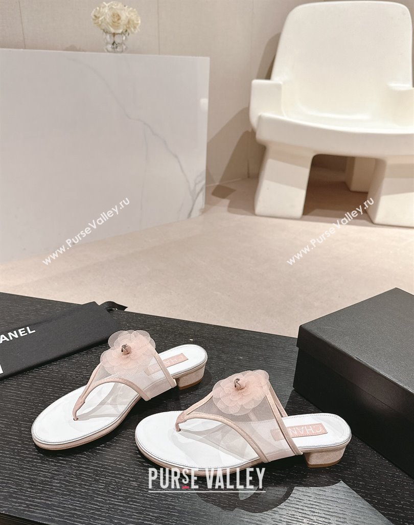 Chanel Mesh Flat Slides Sandals with Flower Light Pink 2024 0603 (MD-240603096)