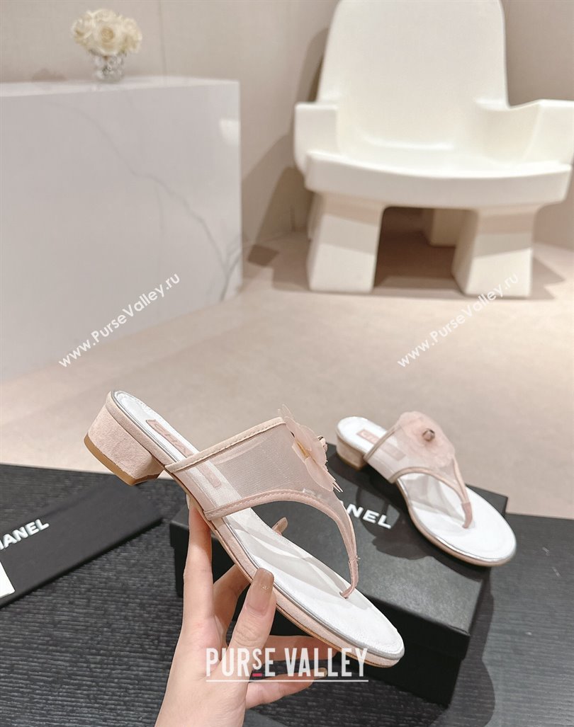 Chanel Mesh Flat Slides Sandals with Flower Light Pink 2024 0603 (MD-240603096)