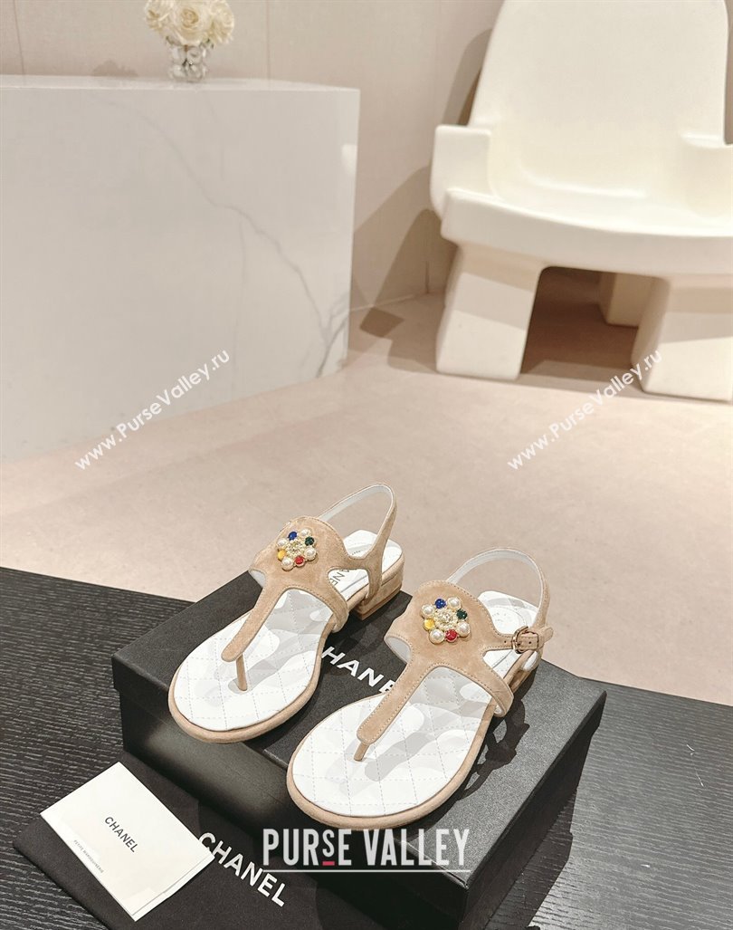 Chanel Suede Flat Thong Sandals with Pearls Flower Beige 2024 0603 (MD-240603098)