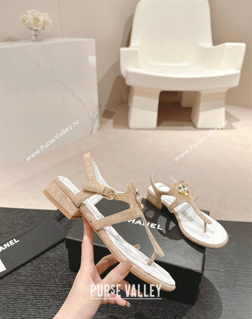 Chanel Suede Flat Thong Sandals with Pearls Flower Beige 2024 0603 (MD-240603098)