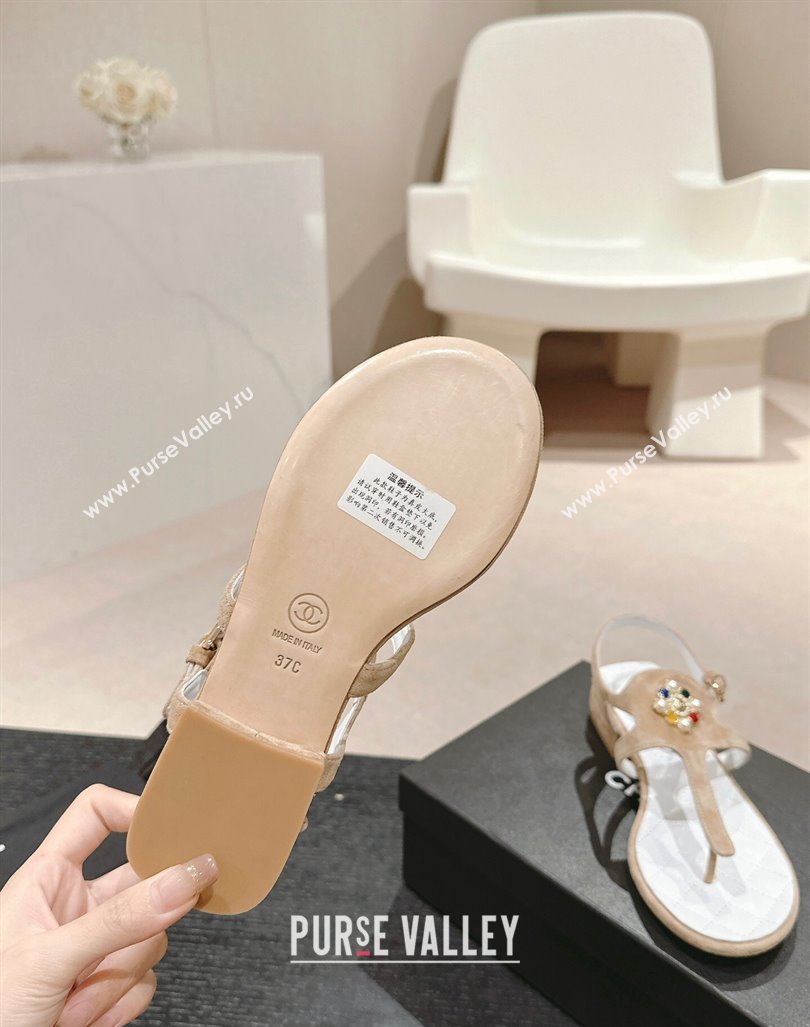 Chanel Suede Flat Thong Sandals with Pearls Flower Beige 2024 0603 (MD-240603098)