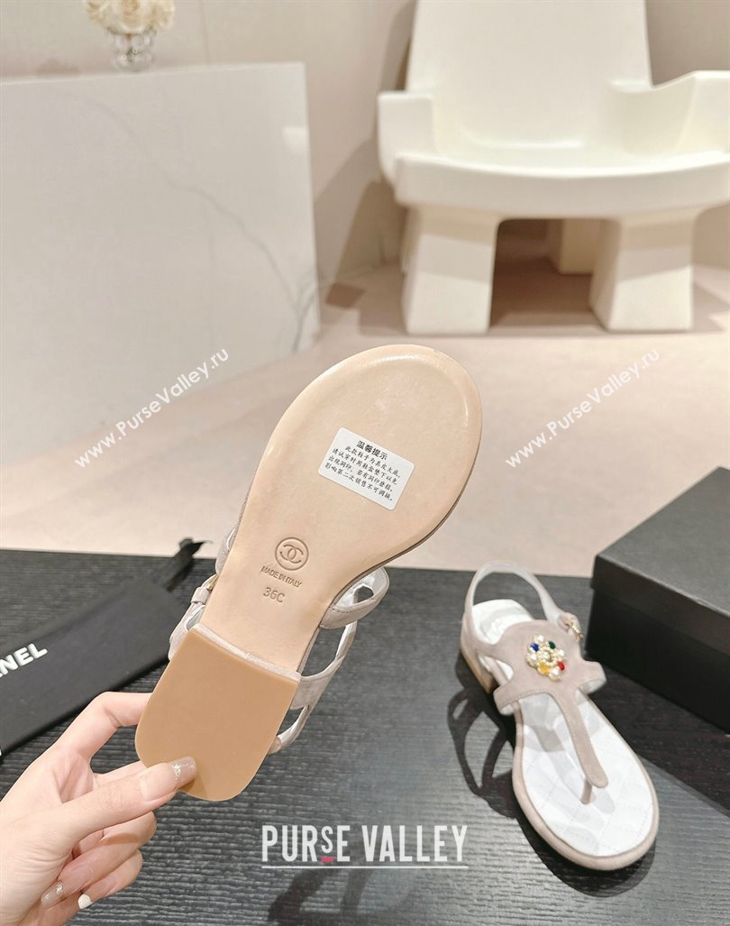 Chanel Suede Flat Thong Sandals with Pearls Flower Grey 2024 0603 (MD-240603099)