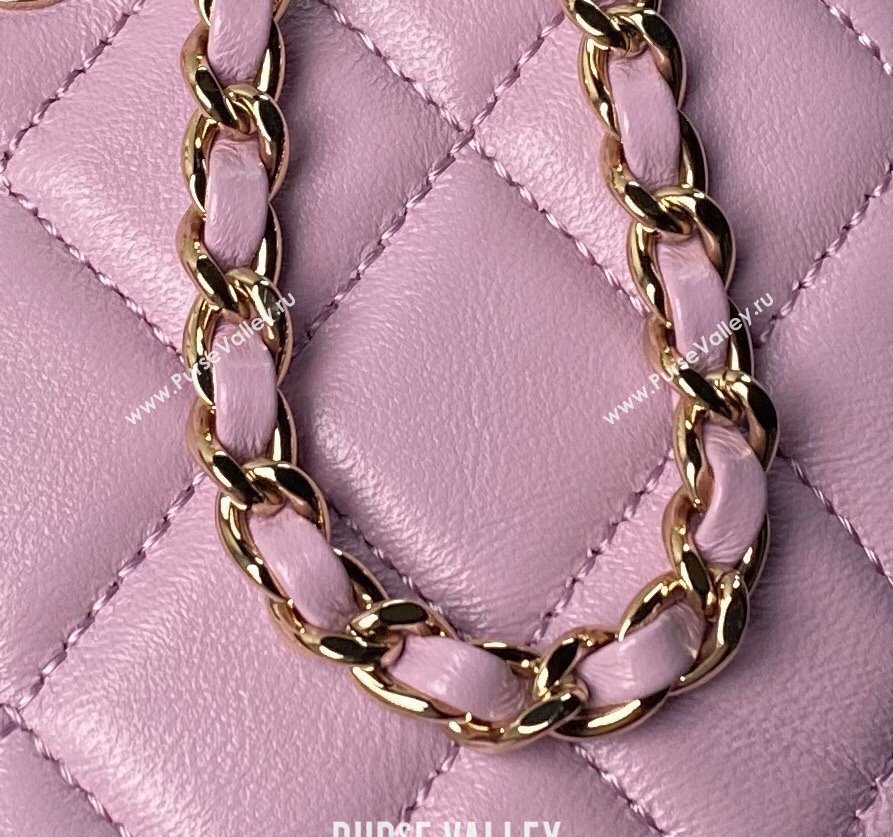 Chanel Lambskin Clutch with Chain Purple 2024 AP4000 (yezi-240627039)