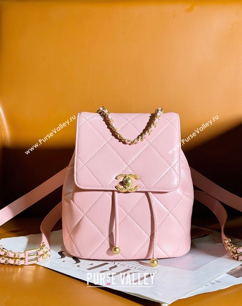 Chanel Lambskin Backpack Bag AS4866 Light Pink 2024 (yezi-240627084)
