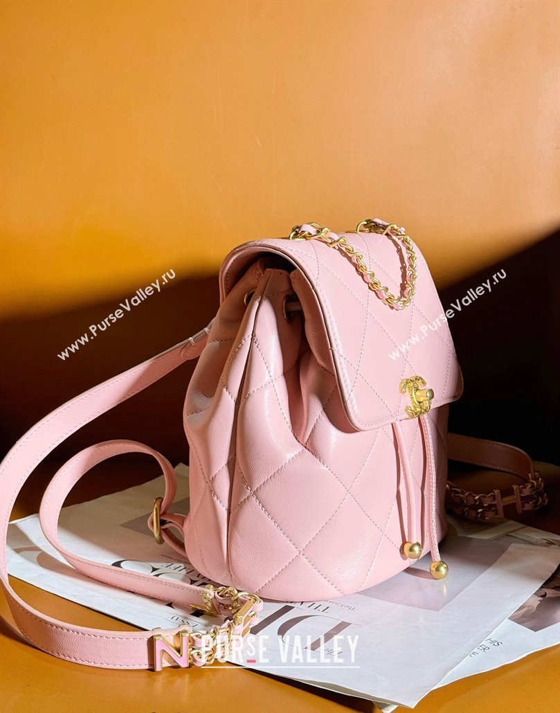 Chanel Lambskin Backpack Bag AS4866 Light Pink 2024 (yezi-240627084)