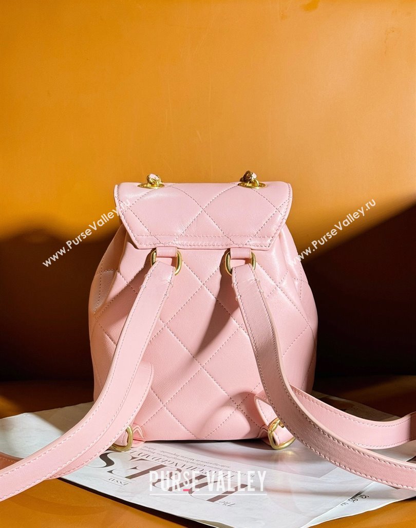 Chanel Lambskin Backpack Bag AS4866 Light Pink 2024 (yezi-240627084)